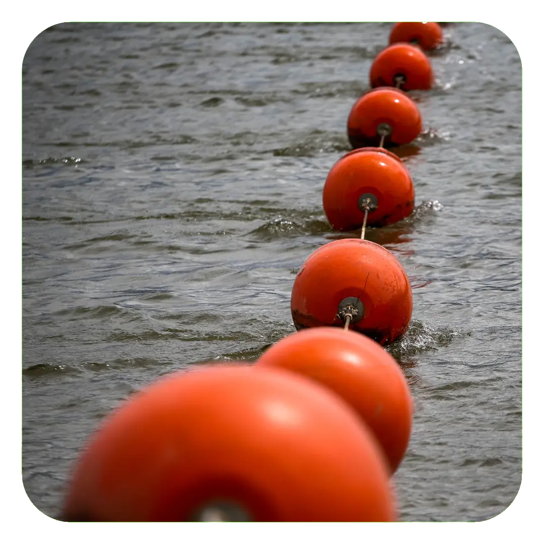 Limpieza y prospección de rosarios de boyas