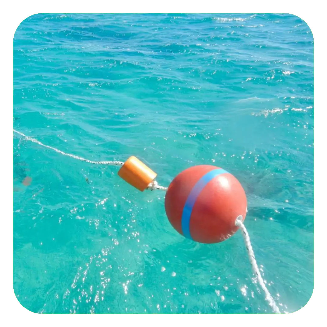 Limpieza de boyas de amarre